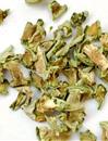 仙人掌茶